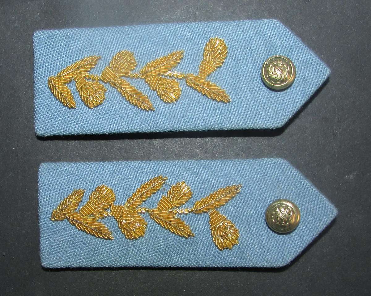 SADF - SAAF Air Force Officers Gorgets