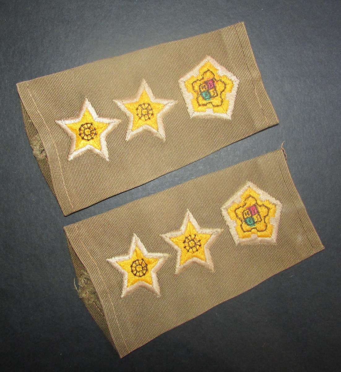 SADF - Army Colonel Slip on Ranks