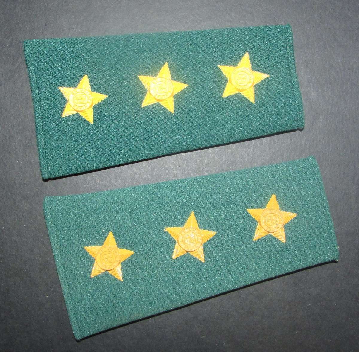 South African Prison Services Lieutenant Rank Pair