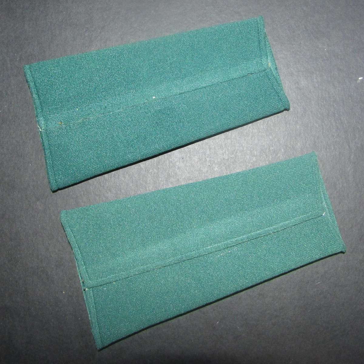 South African Prison Services Lieutenant Rank Pair