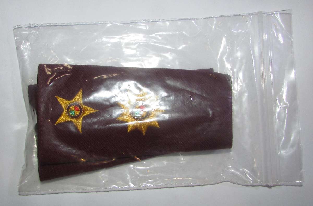 SANDF - Medical Services Commandant Rank Pair