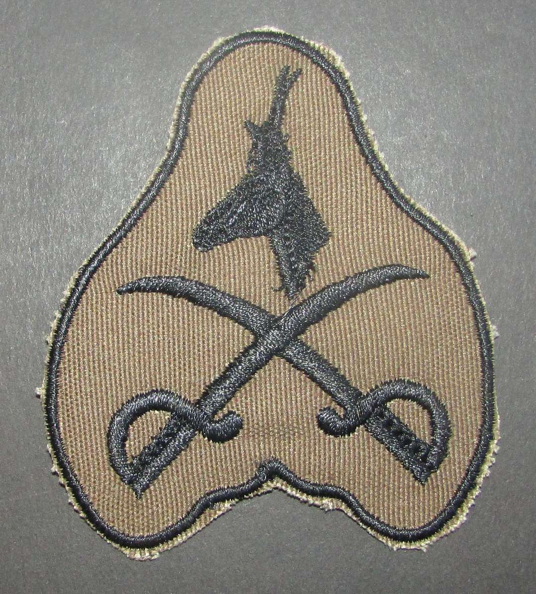 SADF - PTI Instructor Breast Badge