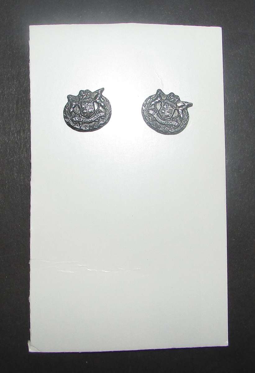 SADF - Army Warrant Officers Mess Dress Pin Badge Pair