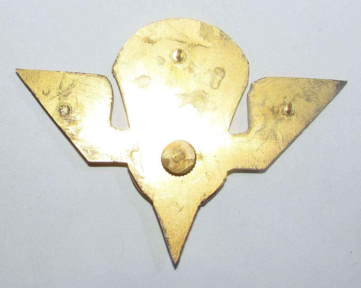 Full Size Renamo ( Mocambique ) Parachute Wing