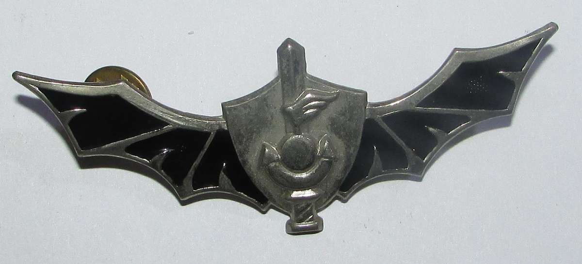 International - Israeli Navy Commando Instructor Flotilla 13 parachute wings (Para Israel)