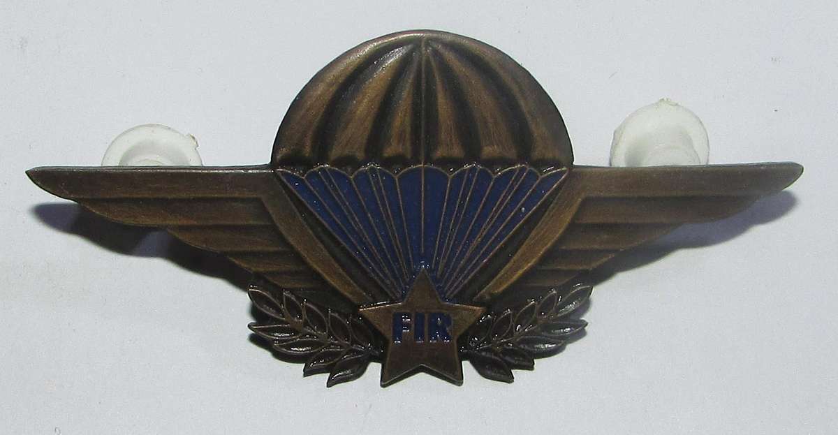 International - CONGO (Democratic Republic of) Parachutist Wing, 3rd Class
