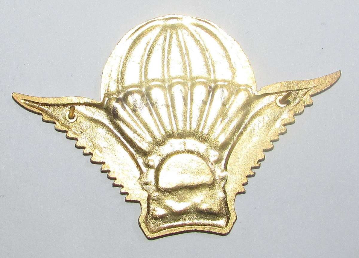 International - Malawi Parachute Wing