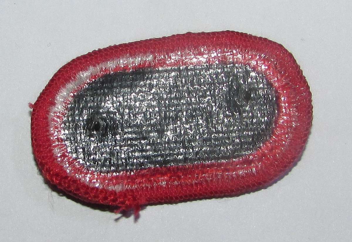 International - US Army 505th Airborne 3rd Battalion Jump Oval Wings Insignia