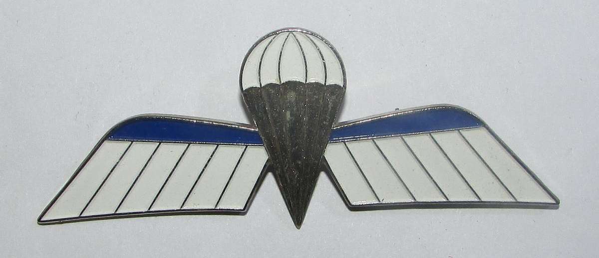 International - Dutch Parachute Wing