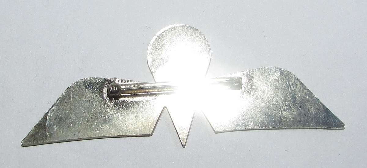 International - Dutch Parachute Wing