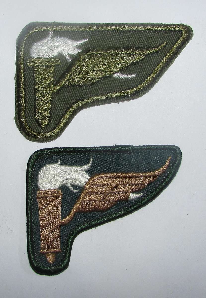 International - US Pathfinder Badges