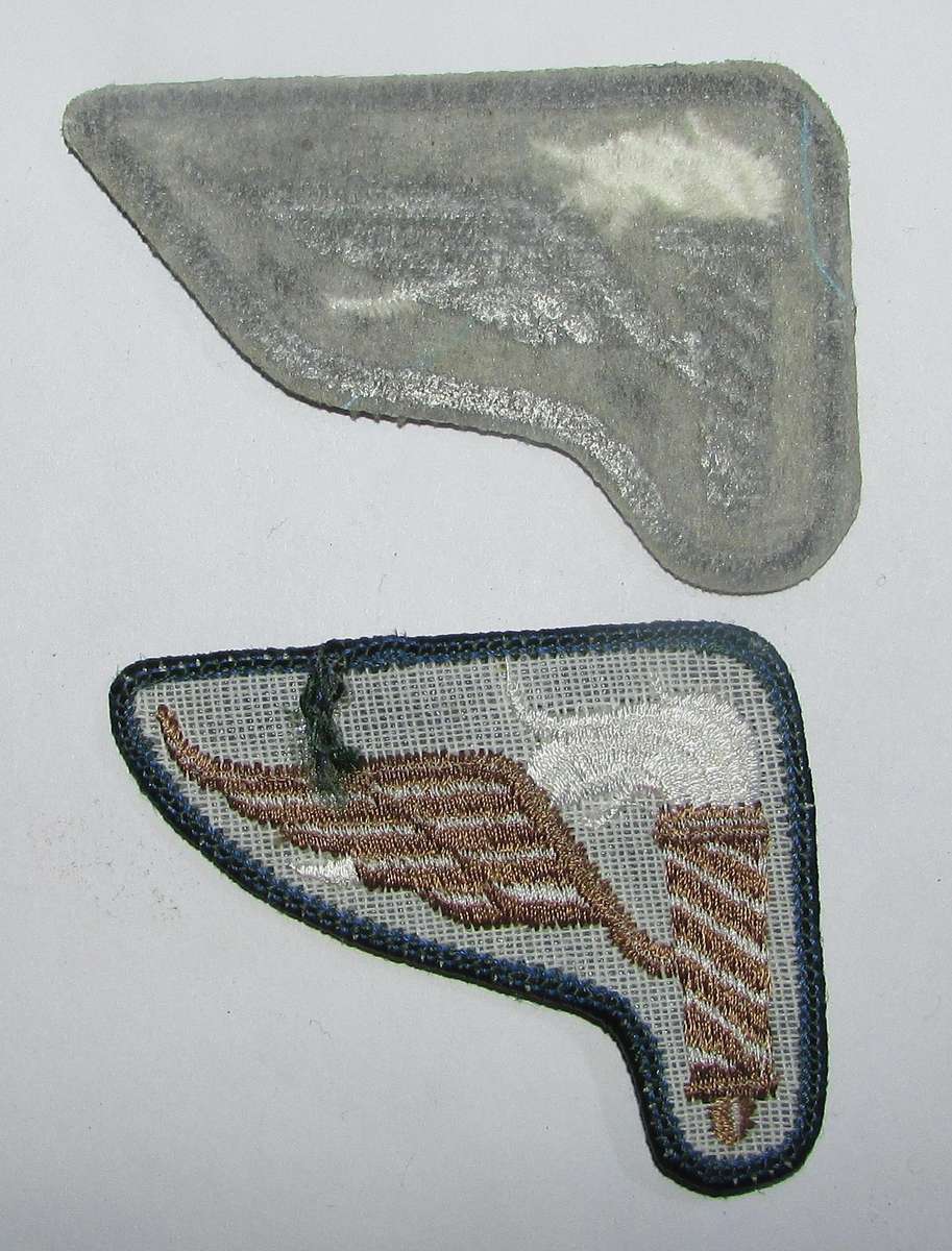 International - US Pathfinder Badges