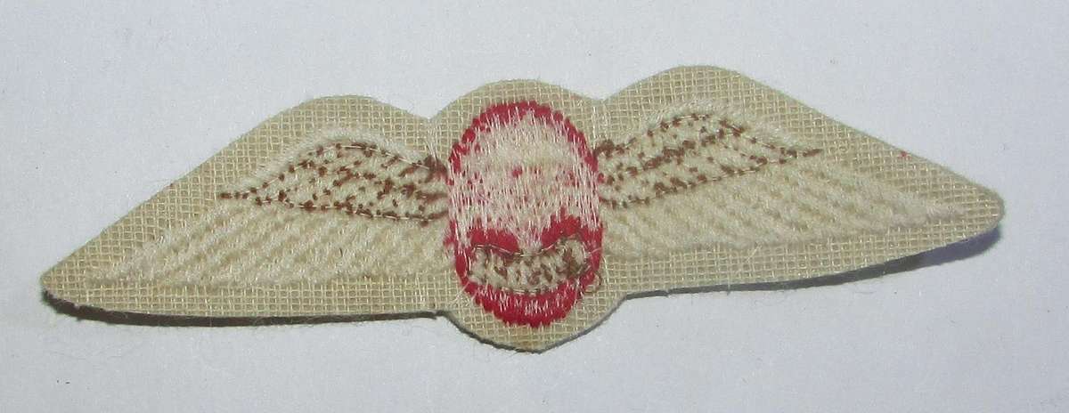 SADF - Parachute Freefall Instructor Cloth Wing