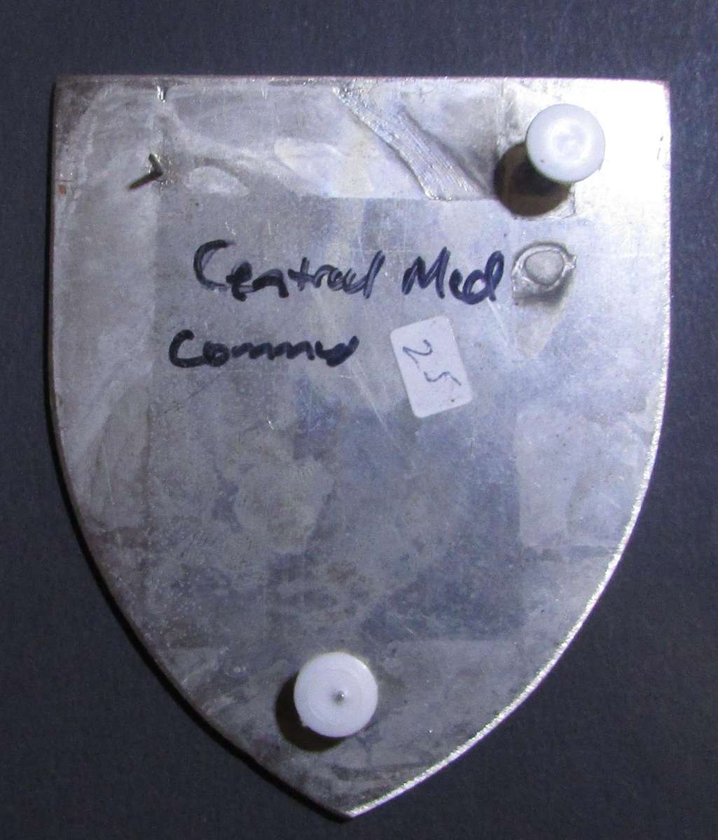 SADF - Medical Services Plaque Crest