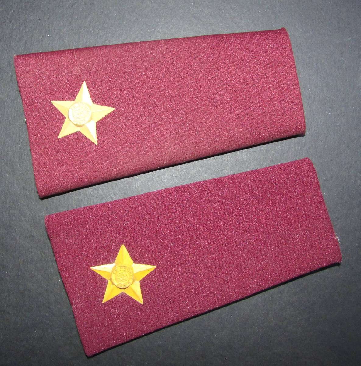 SADF - Medical Corps 2ND Lieuetenant Rank Pair