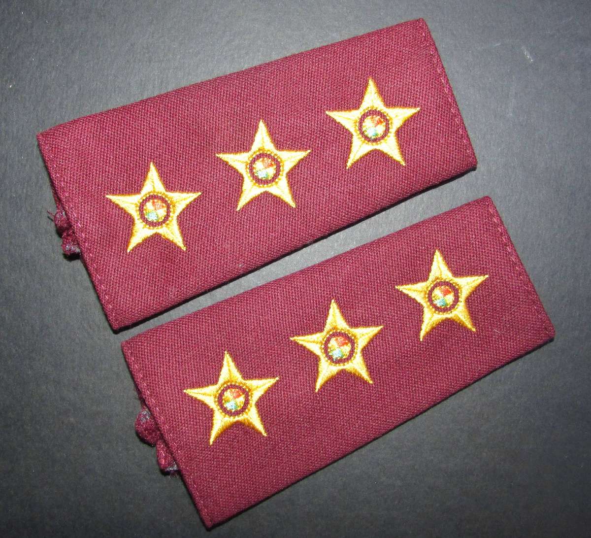 SADF - Medical Corps Captain Rank Pair