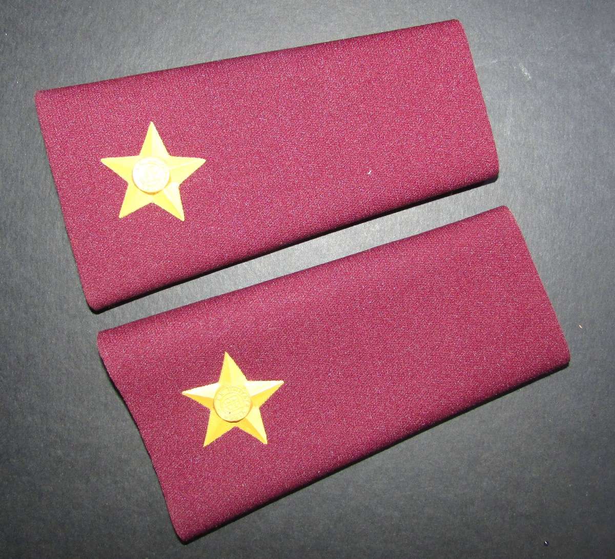 SADF - Medical Corps 2ND Lieuetenant Rank Pair