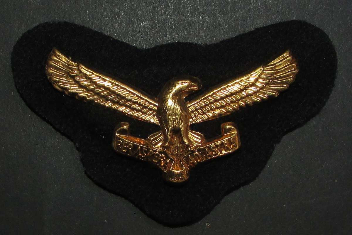 SADF - Air Force Officers Cap Badge