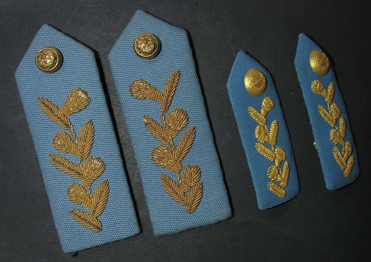 SADF - SAAF Air Force Officers Gorgets