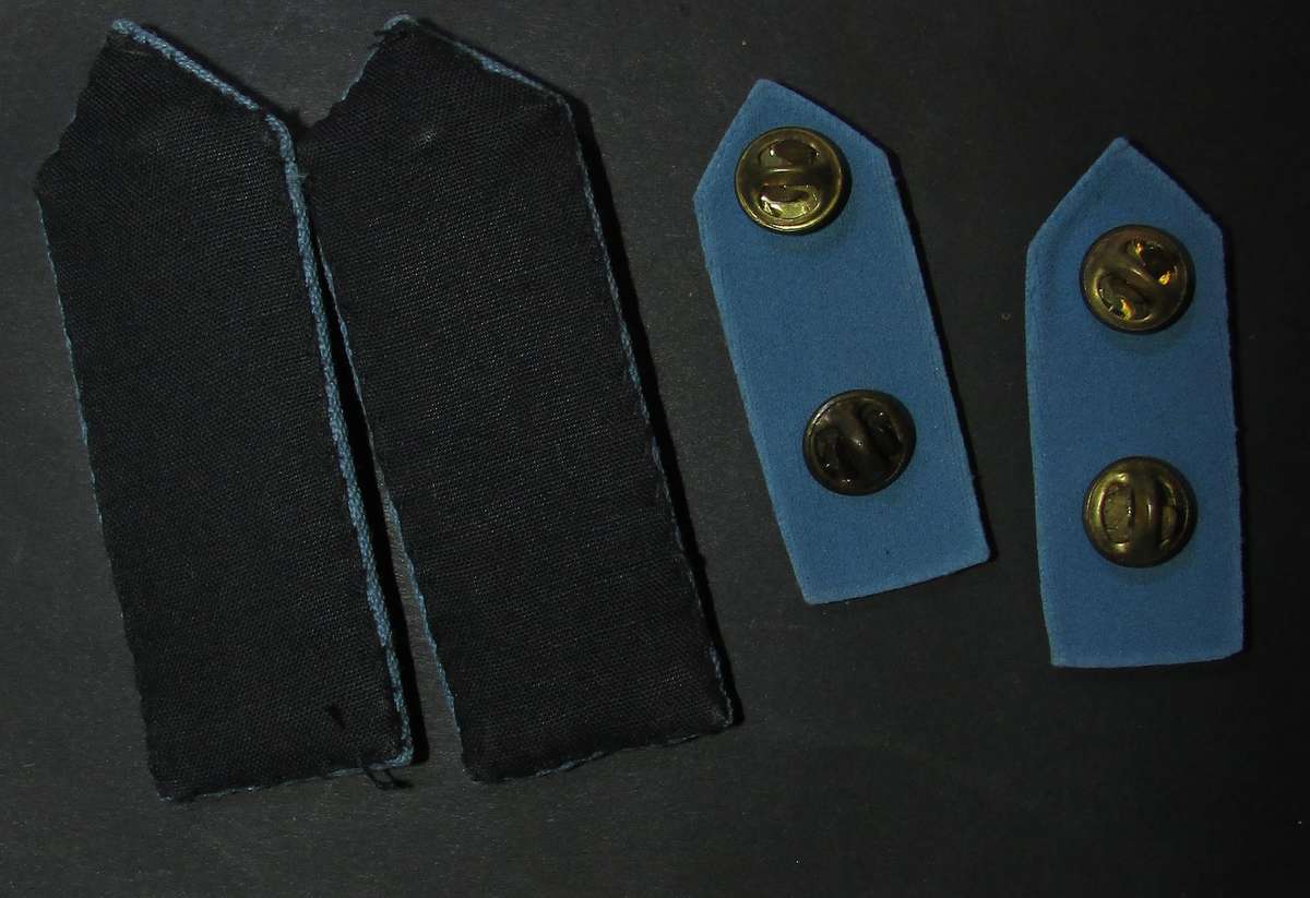 SADF - SAAF Air Force Officers Gorgets