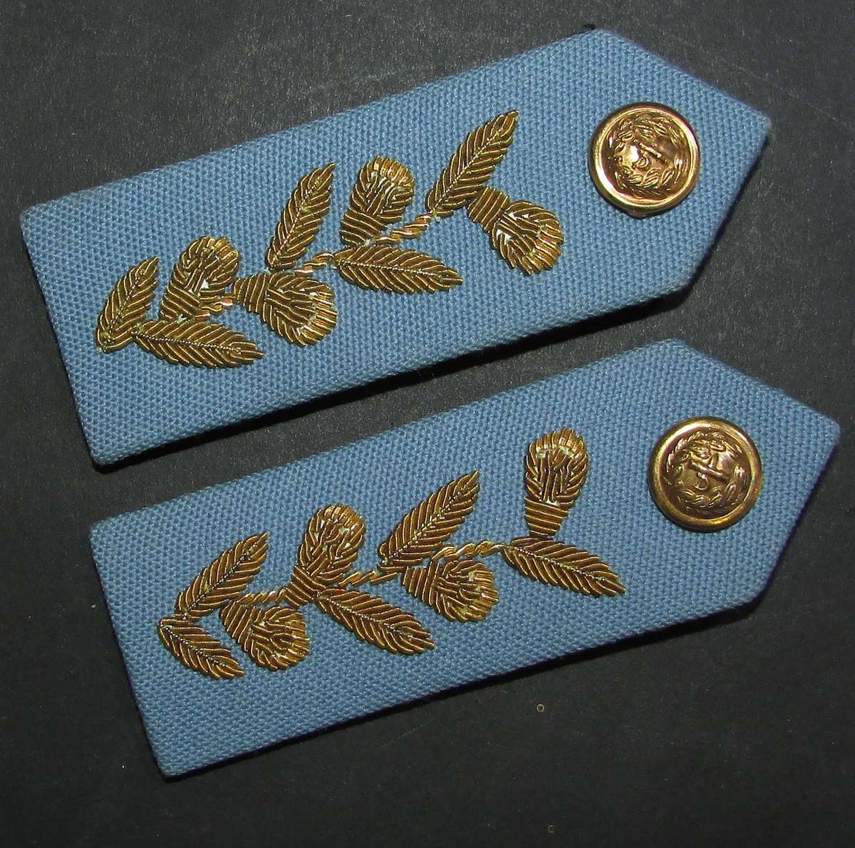 SADF - SAAF Air Force Officers Gorgets