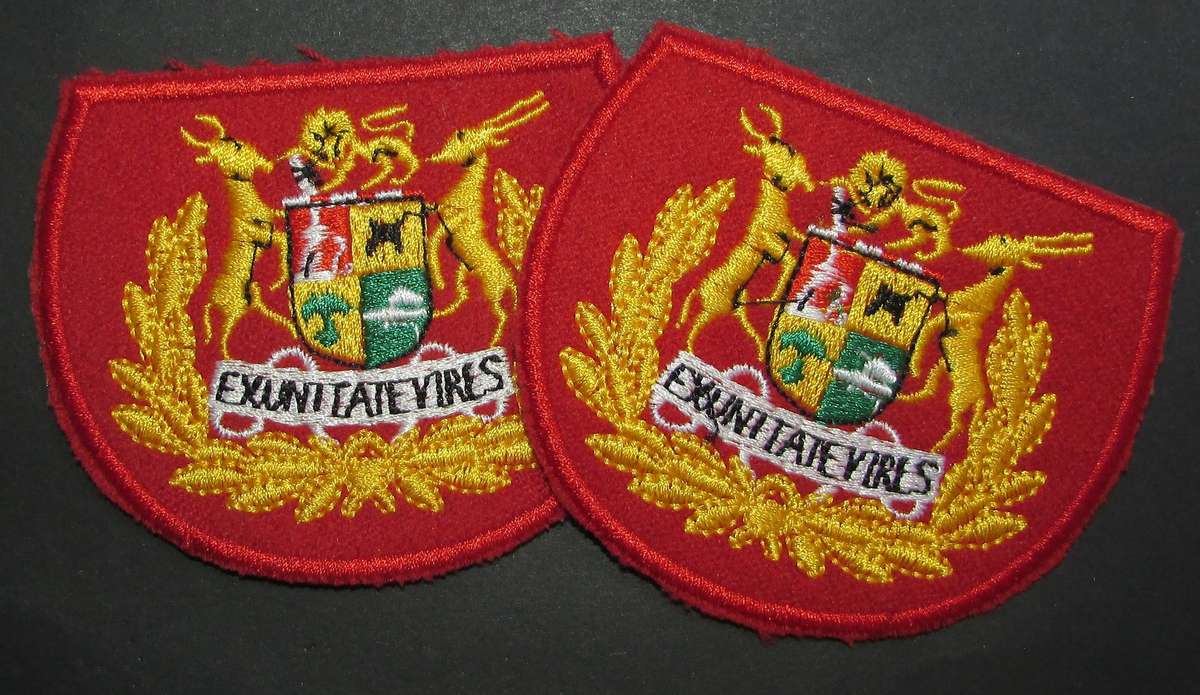SADF - Army Warrant Officer Rank Pair