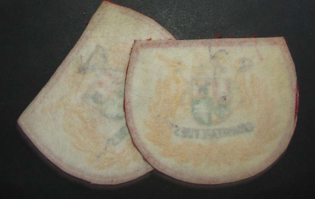 SADF - Army Warrant Officer Rank Pair