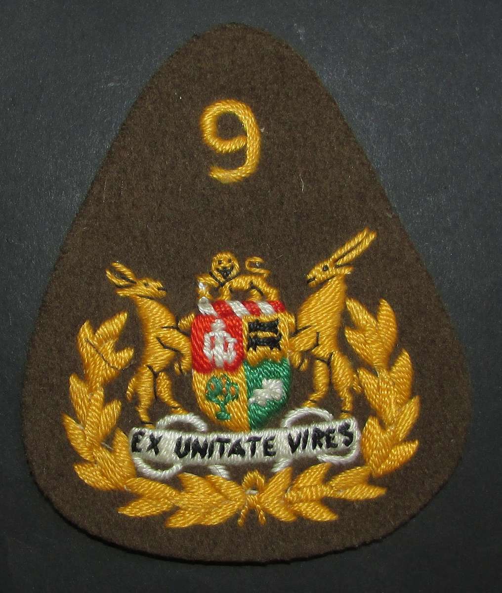 SADF - 9 Division Sergeant Major Rank Badge