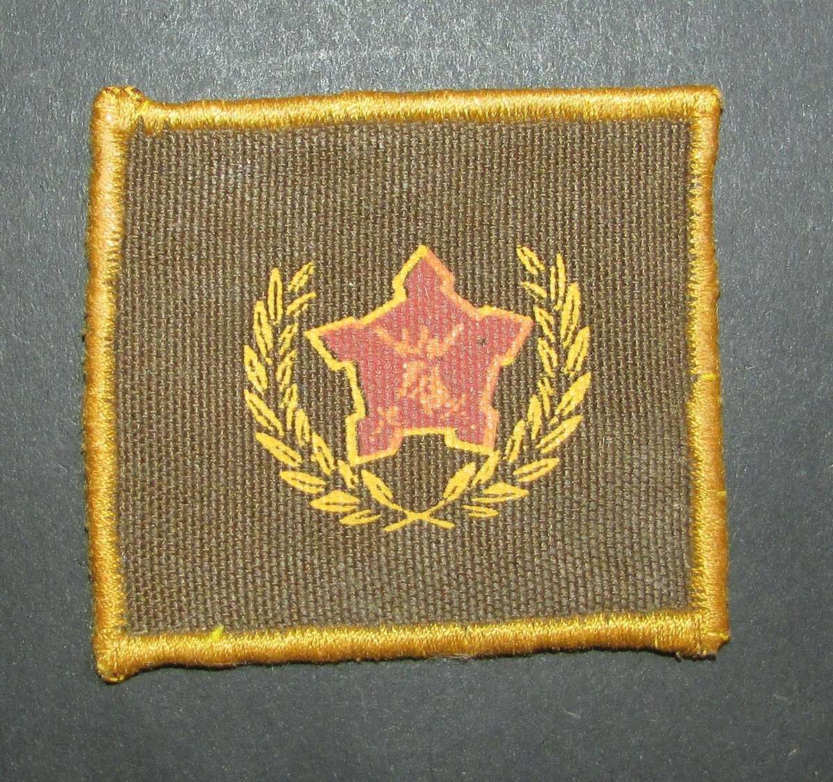 SADF - Army 5 Year Voluntary Service Breast Badge