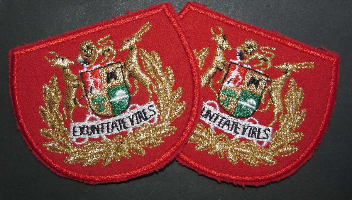 SADF - Army Warrant Officer Rank Pair