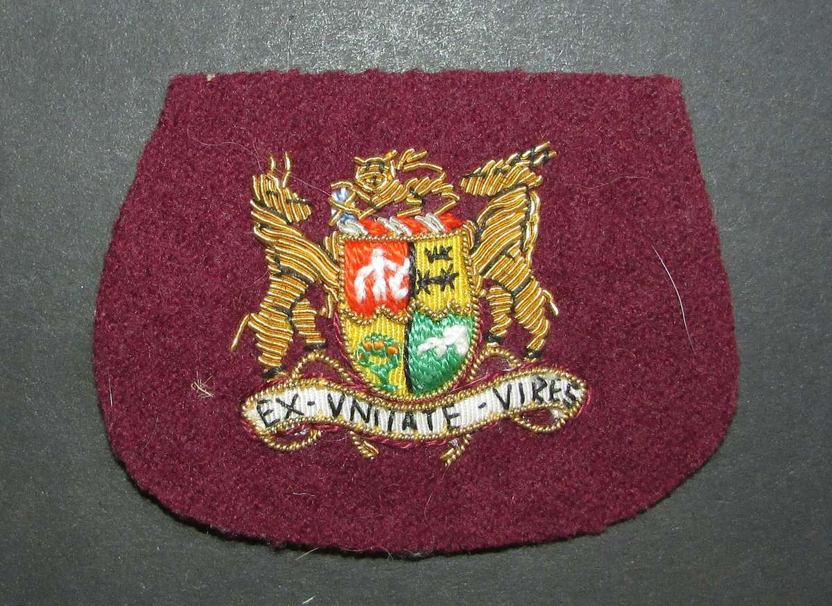 SADF - Health Services Warrant Officer Rank Badge