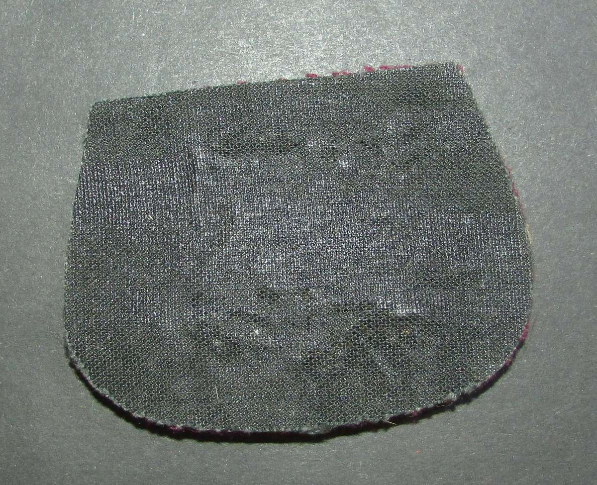 SADF - Health Services Warrant Officer Rank Badge