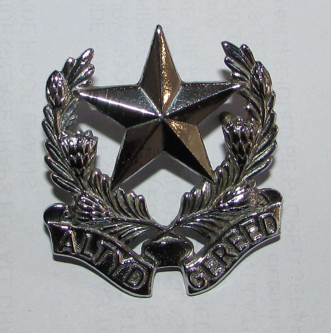 SADF - Regiment Botha Cap Badge