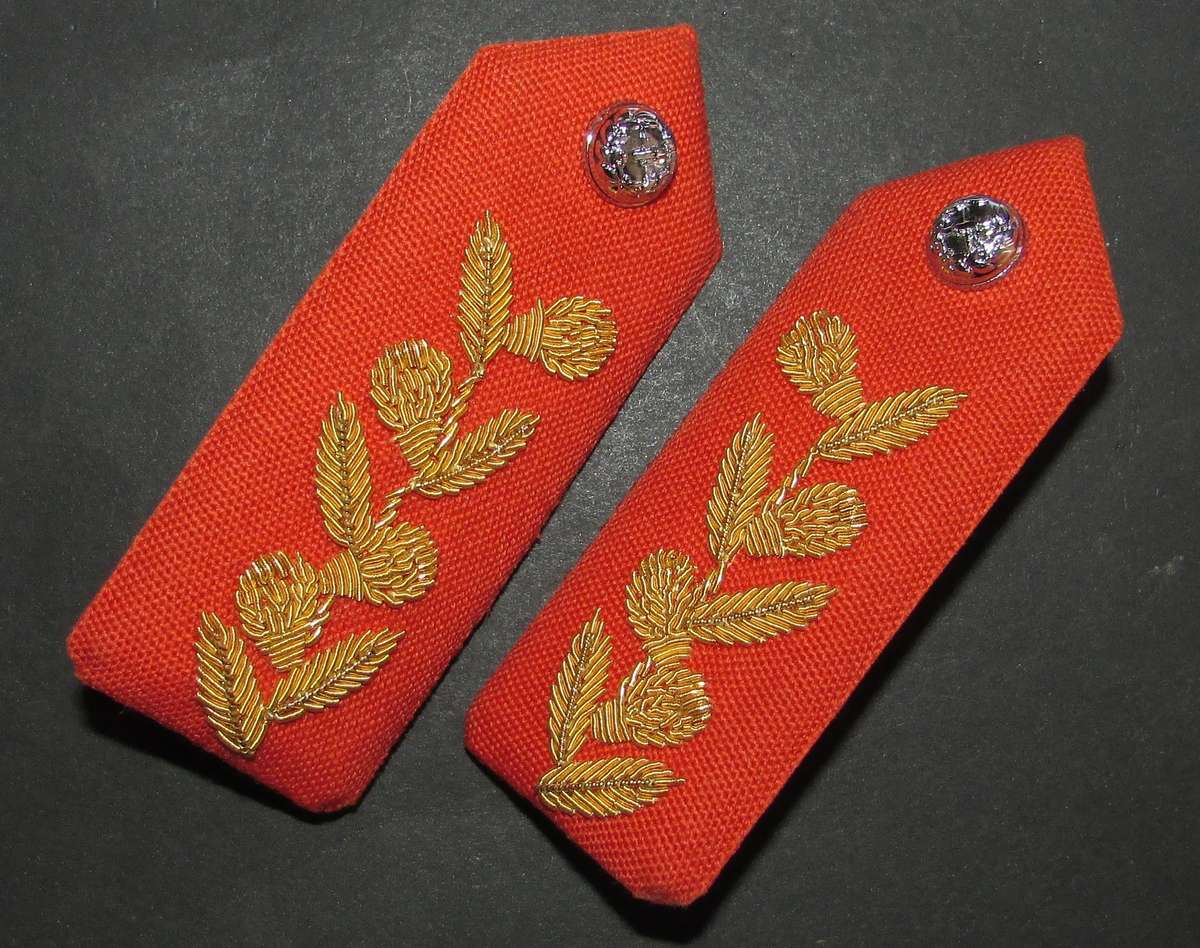 SADF - Army Generals Gorgets