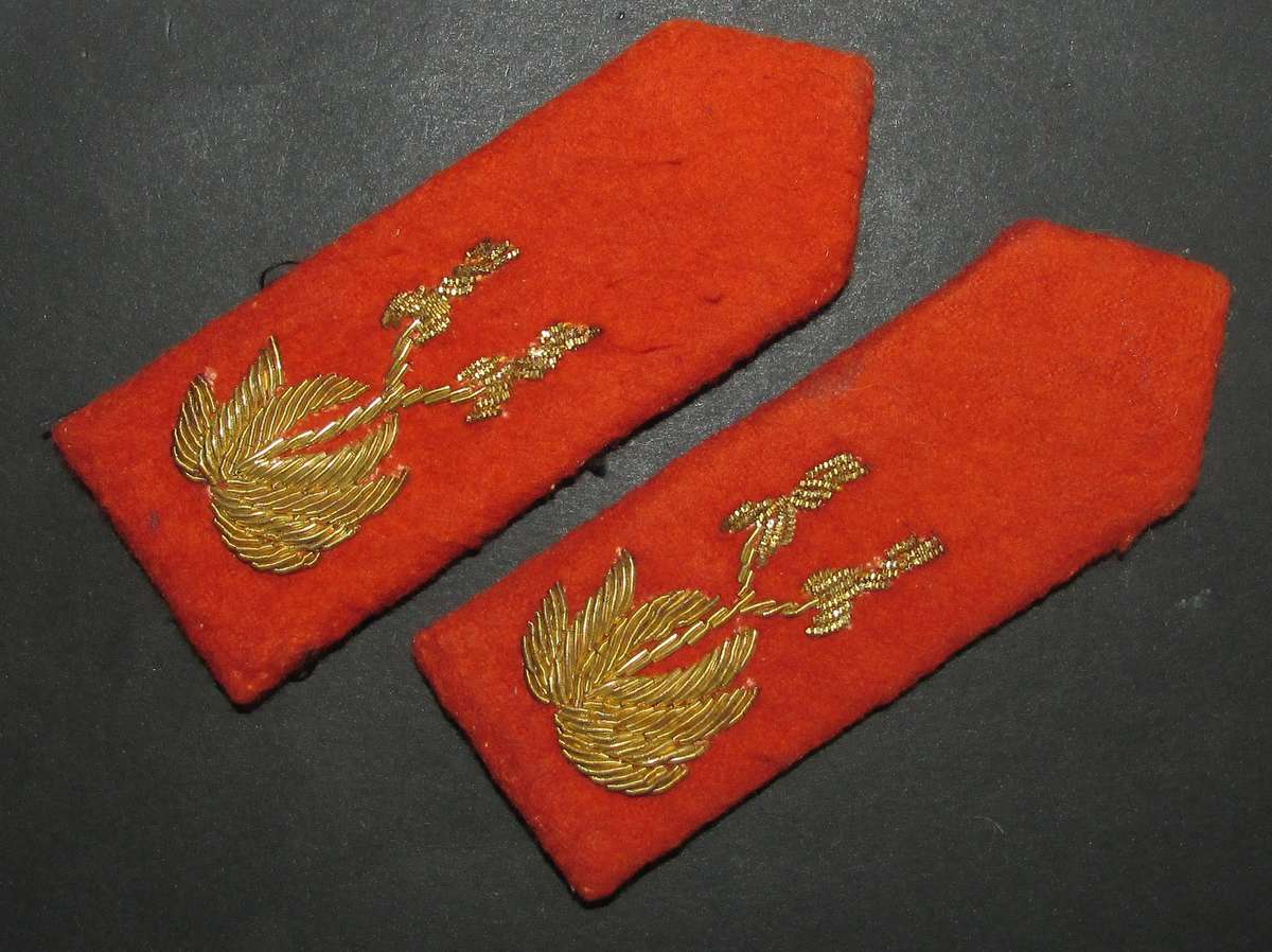 Homelands - Transkei Generals Gorget Ranks