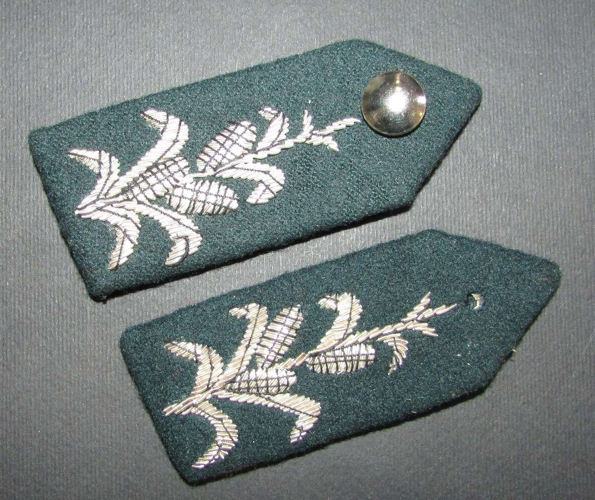 South African Homelands - Officers Gorgets