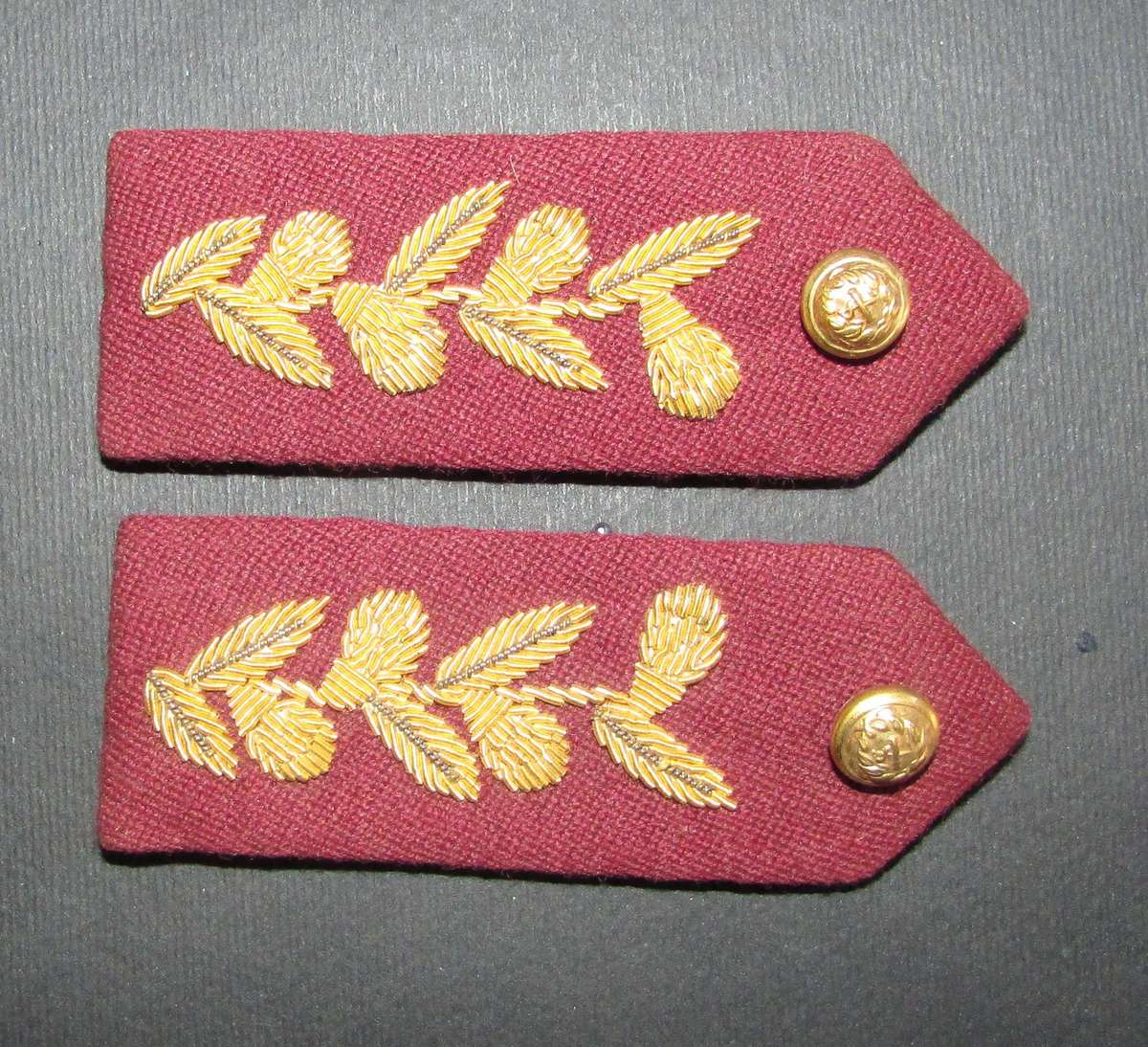 South African Homelands - Officers Gorgets