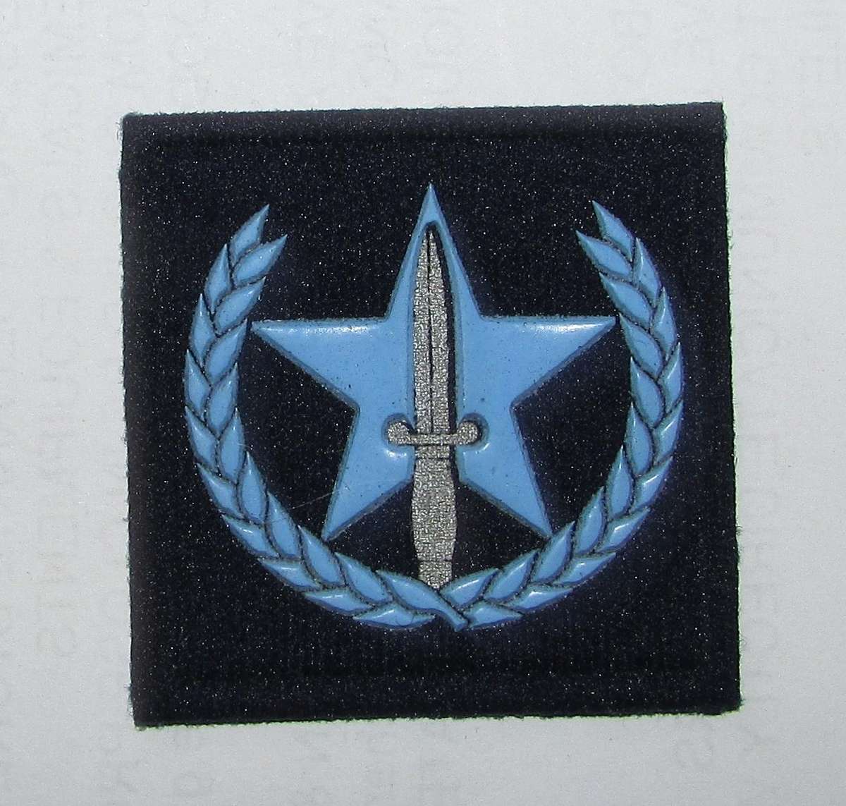 SADF - SAAF Mustering Badge