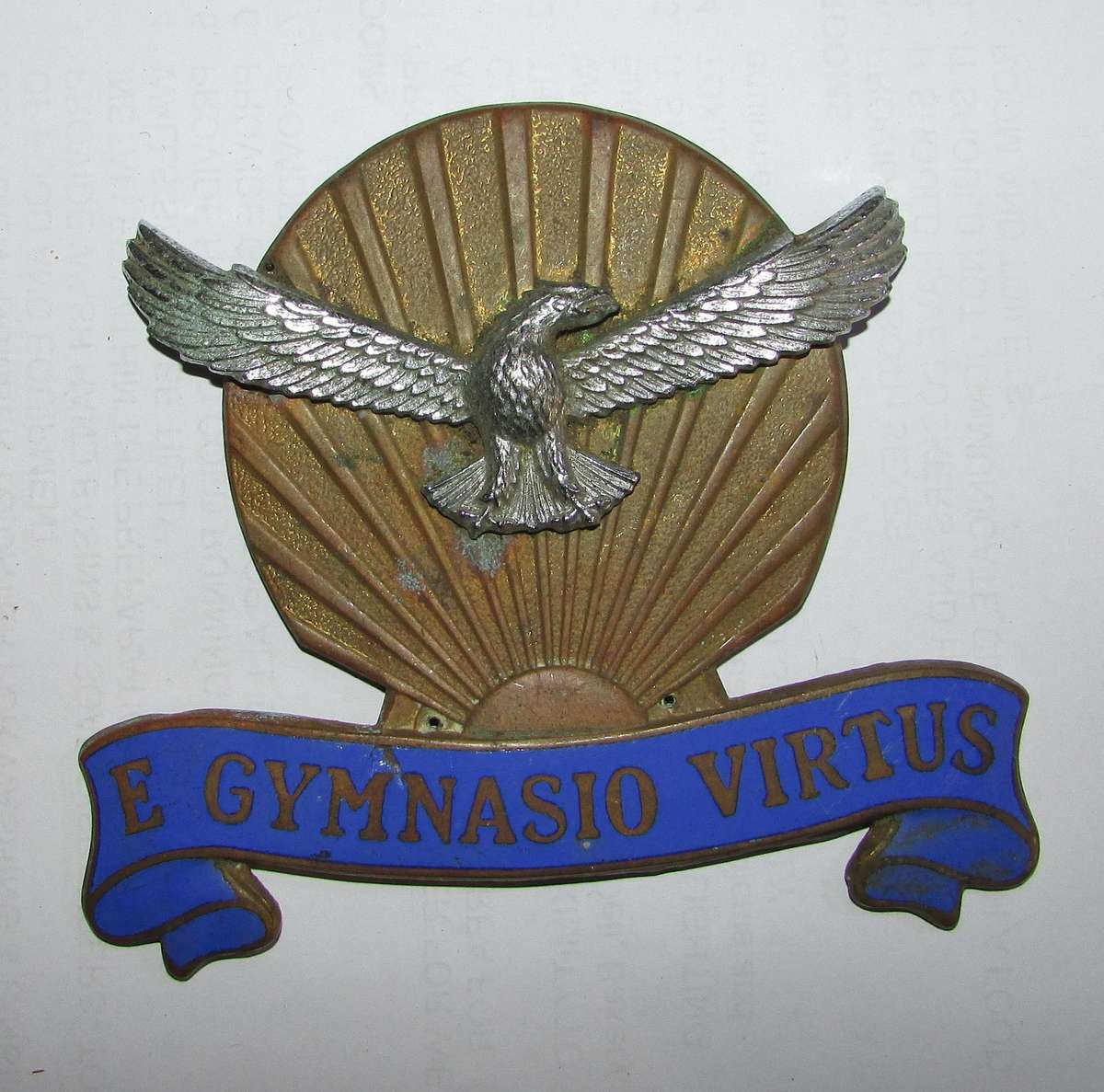 SADF - Air Force Plaque Crest