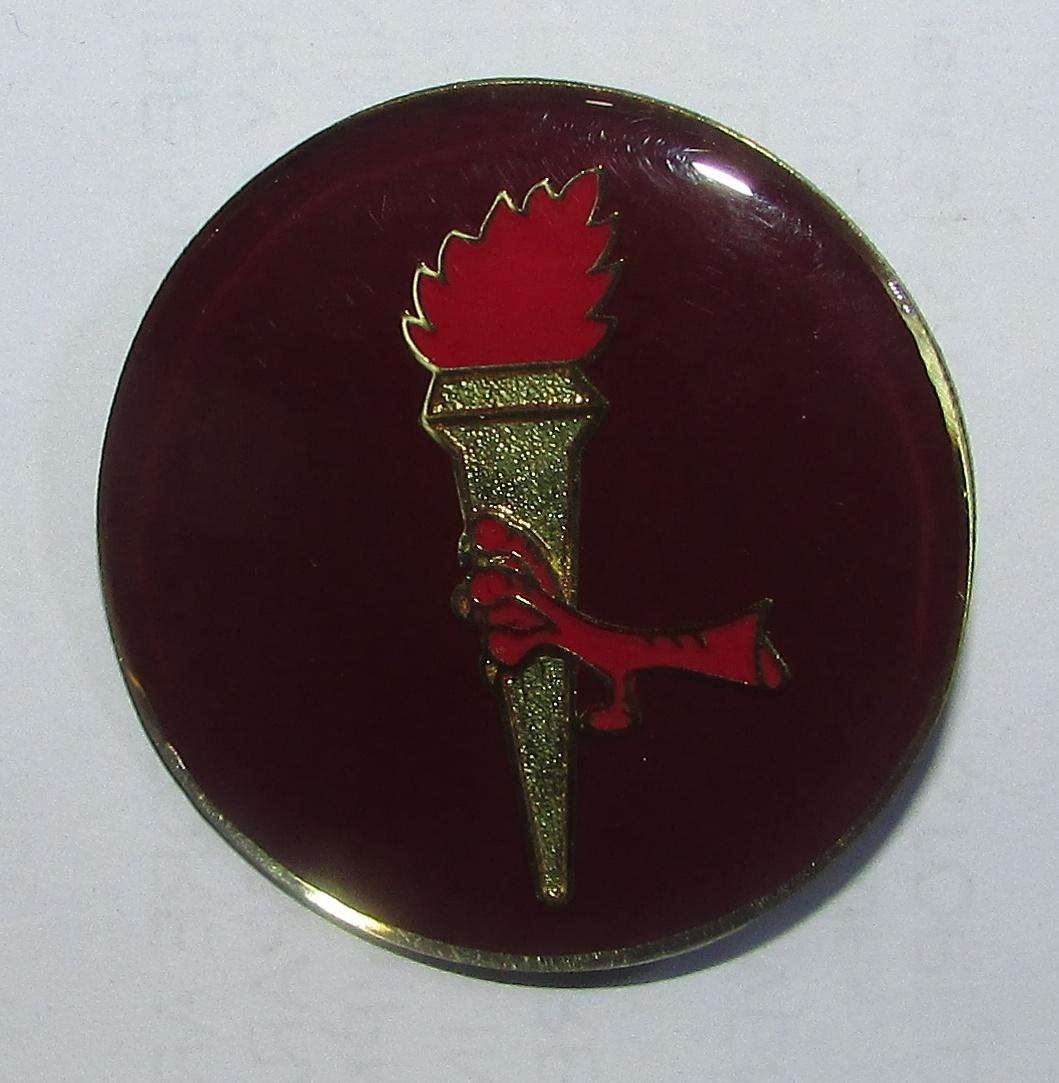 SADF - 44 Parachute Brigade Pathfinder Arm Flash