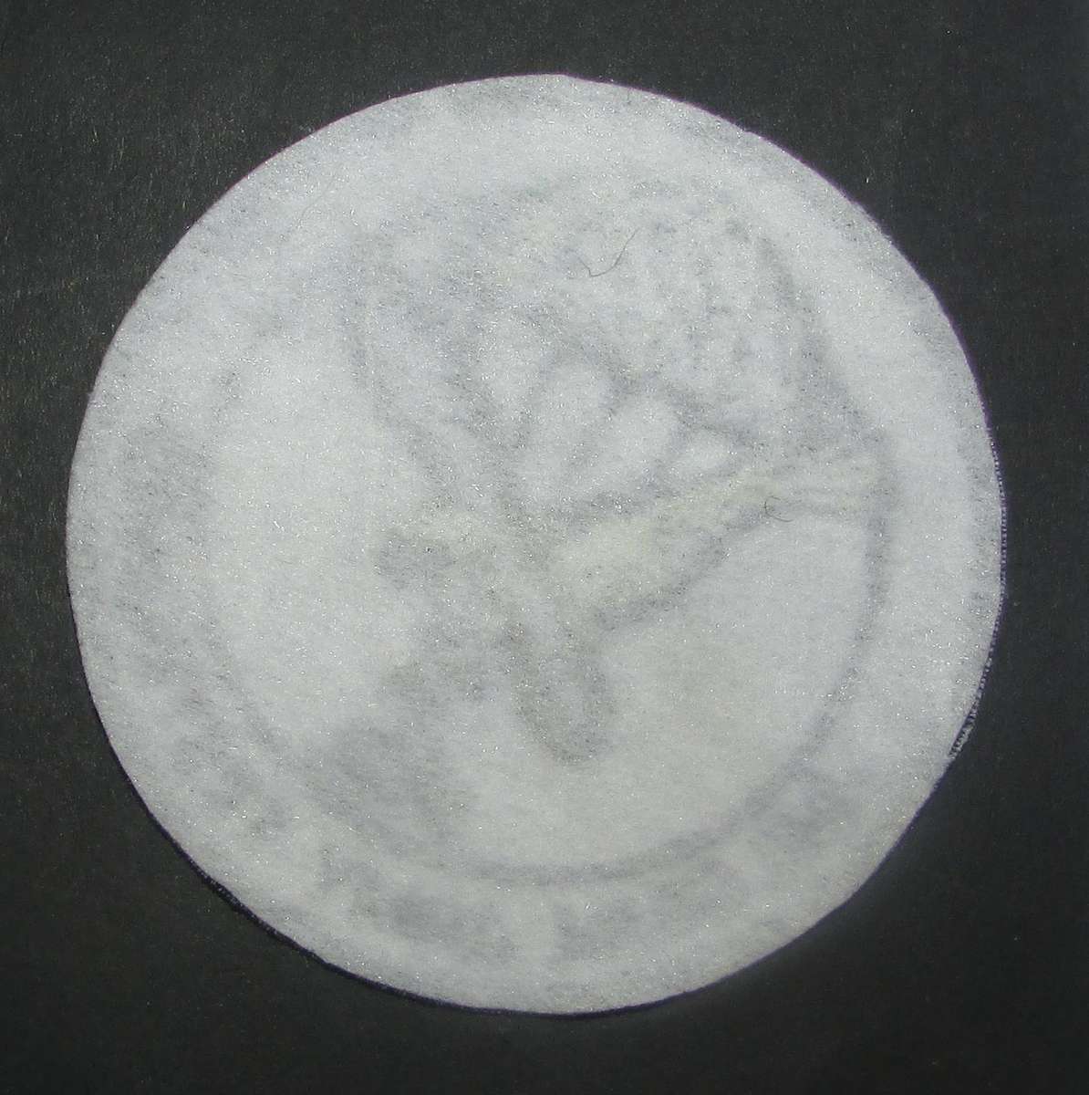 International - Para/Special Forces Patch Badge