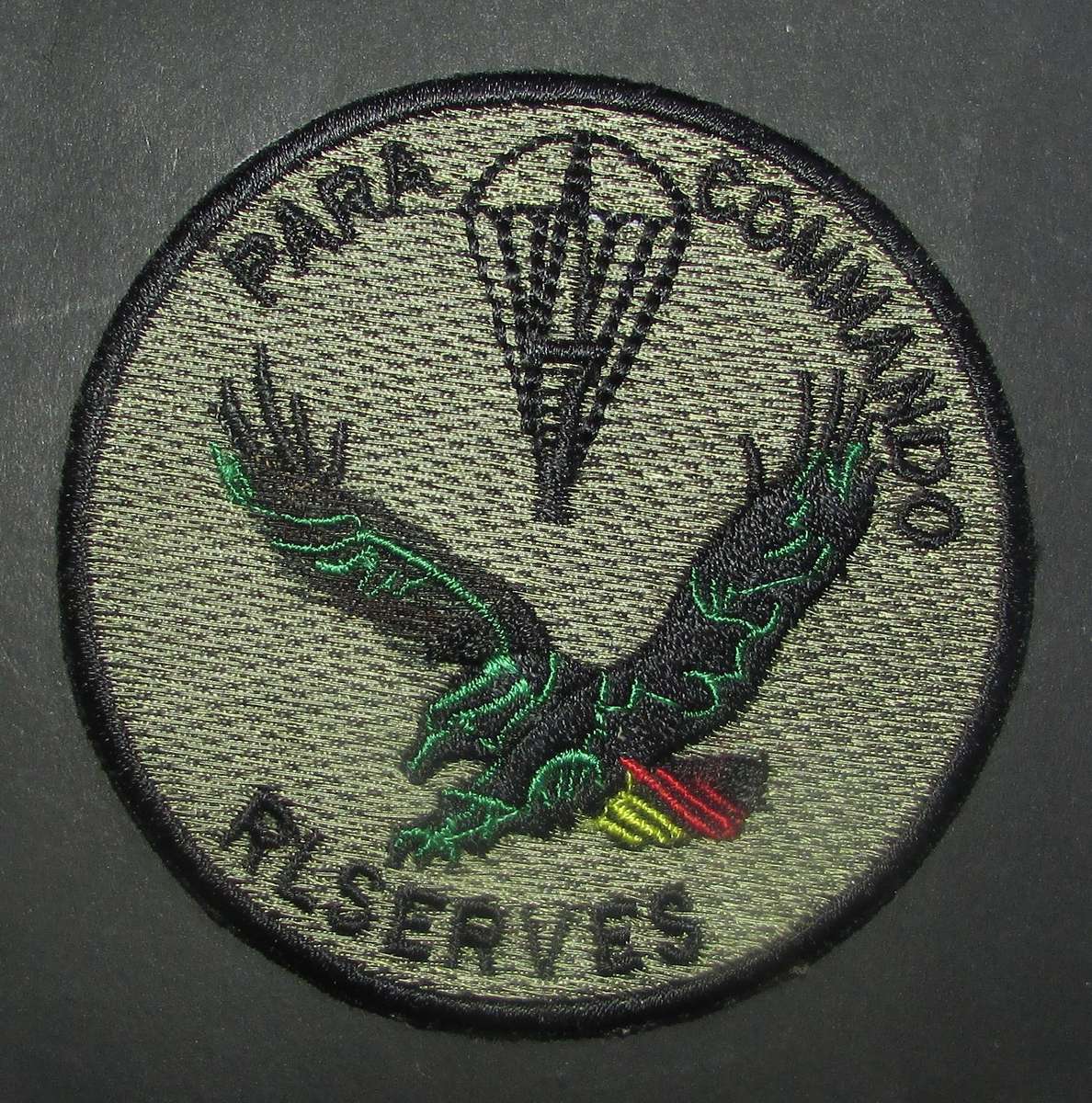 International - Para/Special Forces Patch Badge