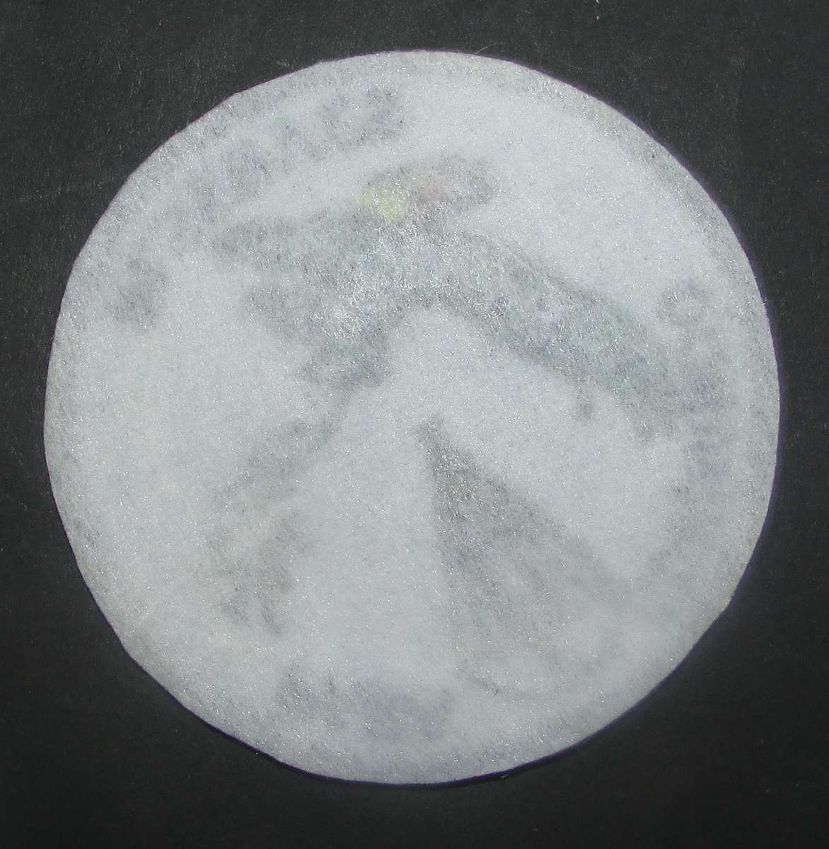 International - Para/Special Forces Patch Badge