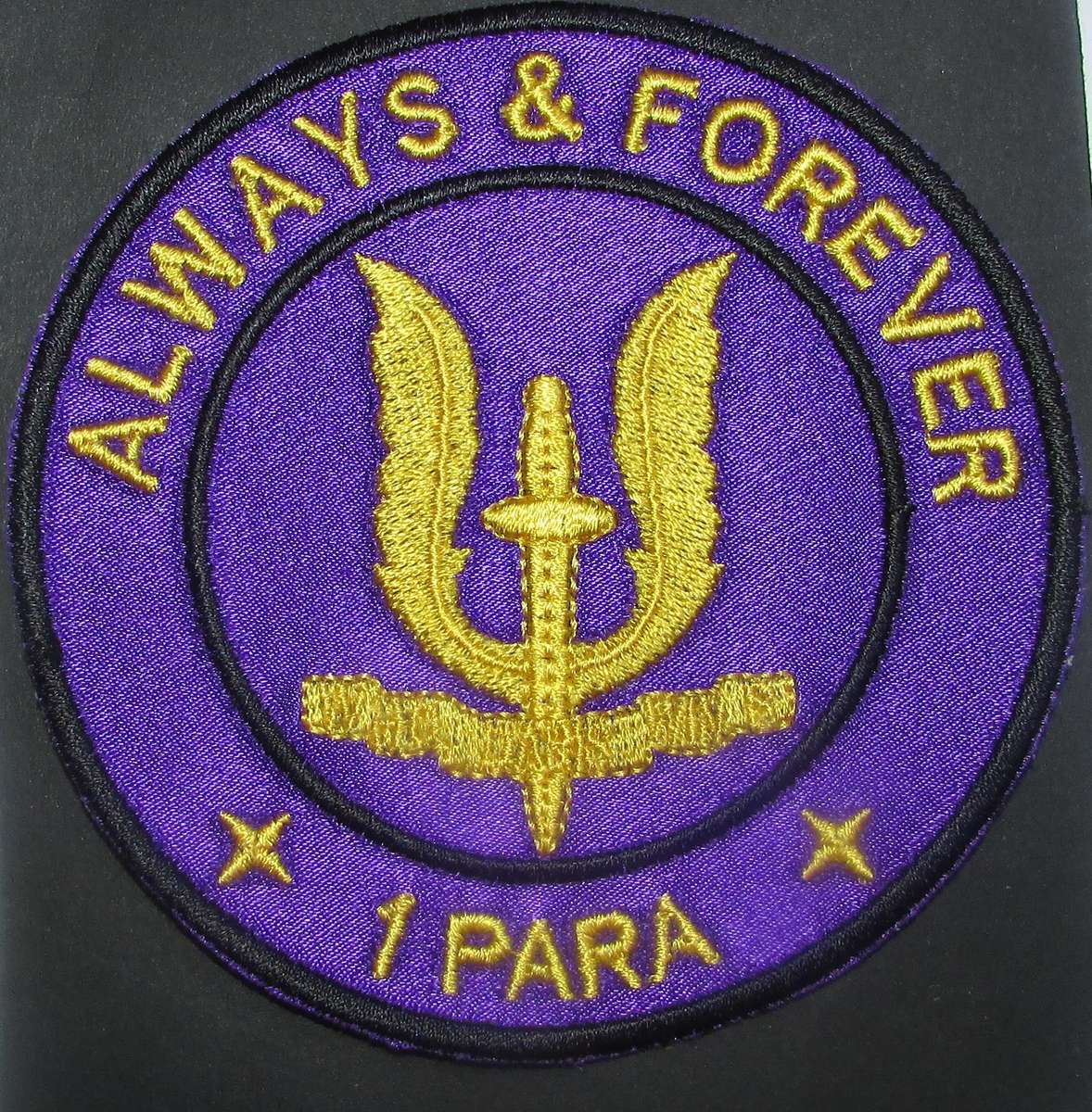 International - Para/Special Forces Patch Badge