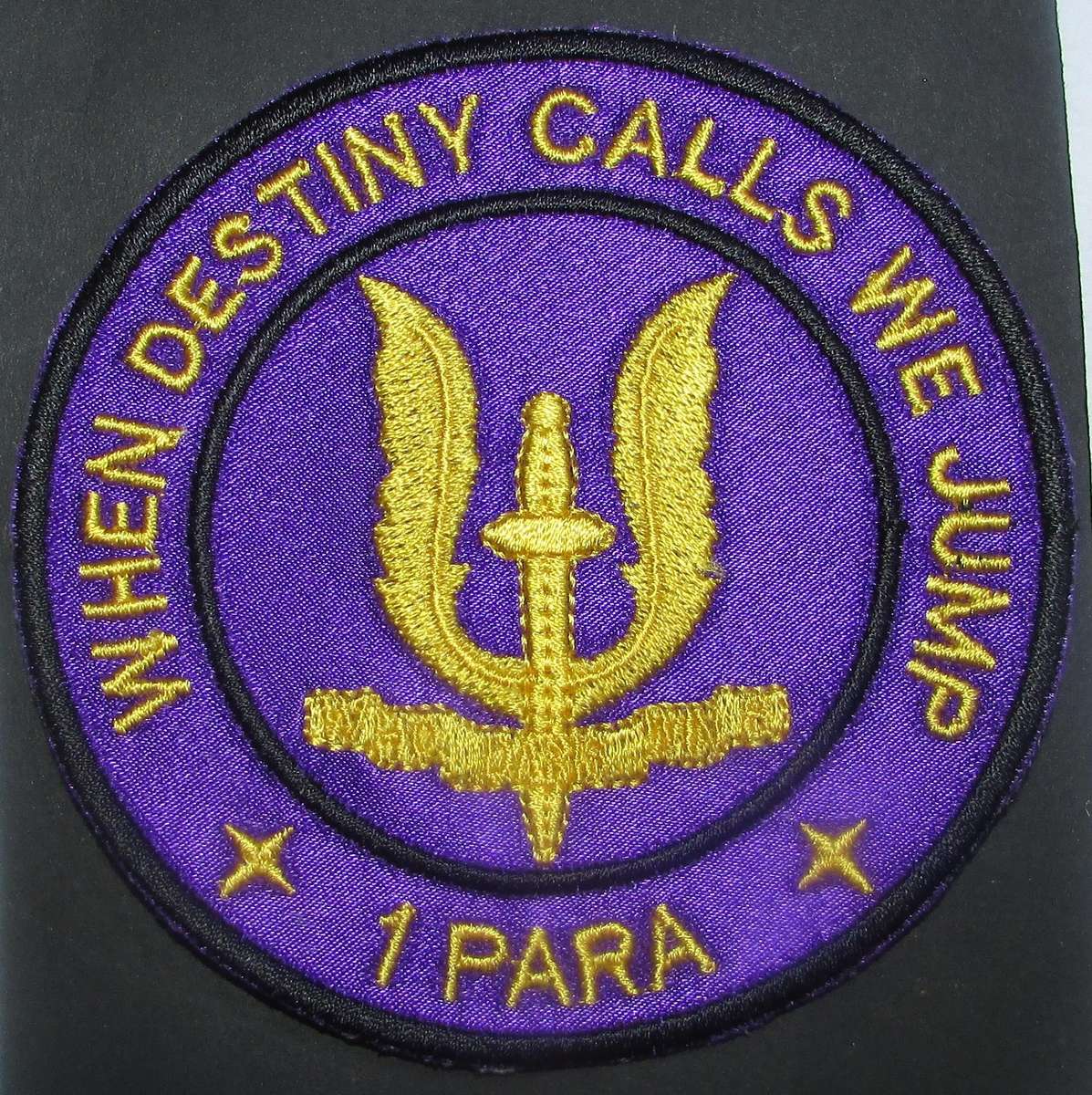 International - Para/Special Forces Patch Badge