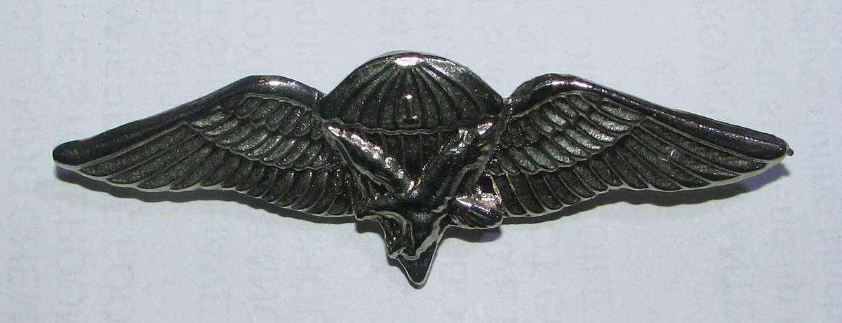 SADF - 1 Parachute Battalion Commemorative Wing