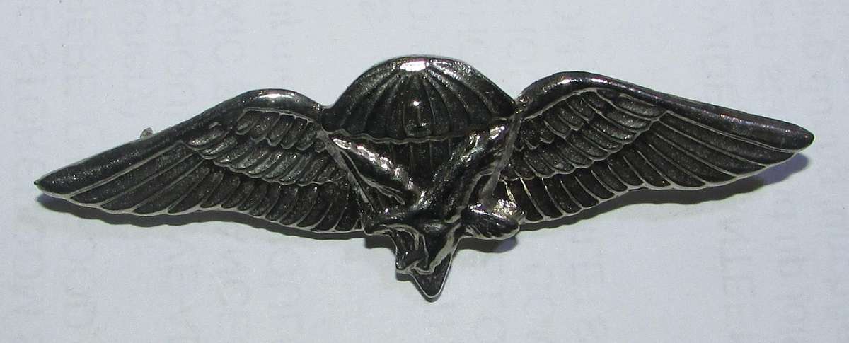 SADF - 1 Parachute Battalion Commemorative Wing