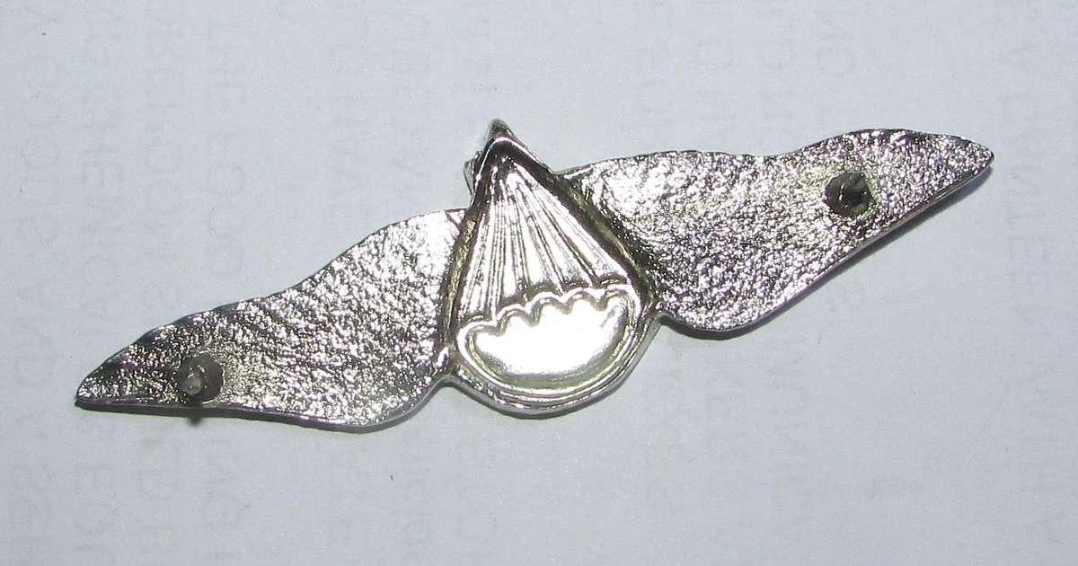 SADF - 1 Parachute Battalion Commemorative Wing