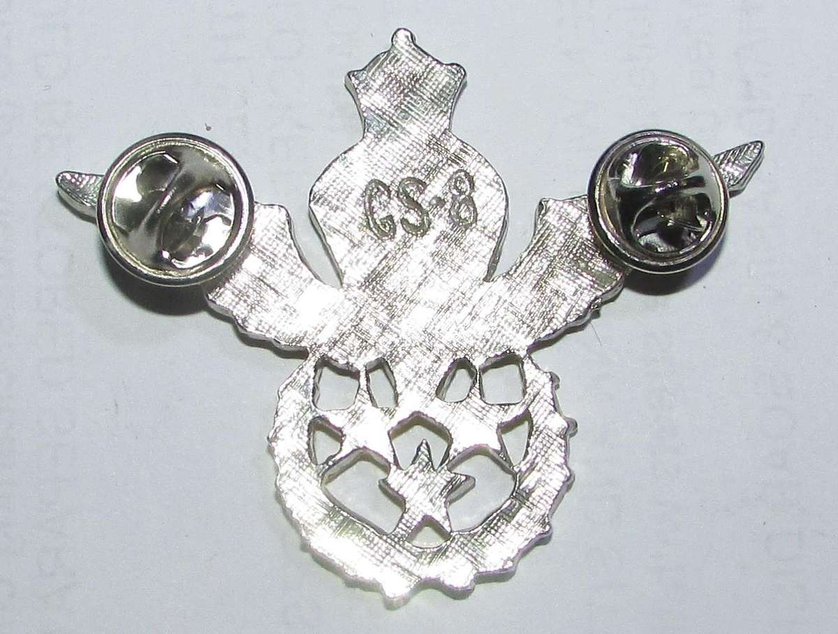 Iran - Iranian Paratrooper Wing