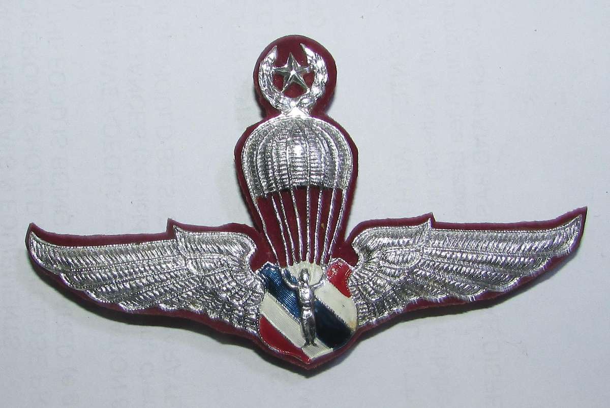 Inernational - Thailand Army Paratrooper Jump Wings